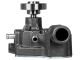 Pompa acqua