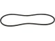 Cinghia trapezoidale